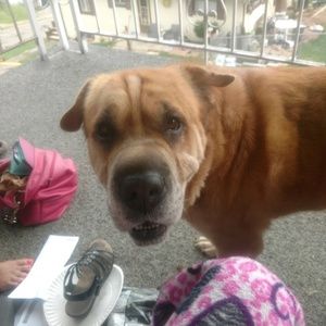 Meet your Posher, Kim